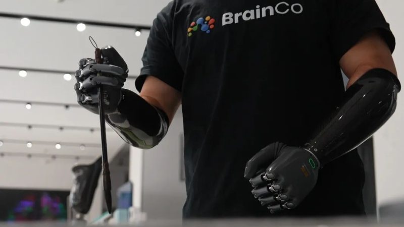 人工智能应用工具安装全攻略：步骤详解与注意事项